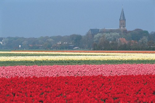 Consejos para viajar a la Toscana