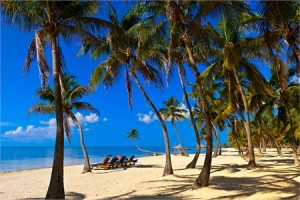 Grandes viajes: la bella Florida de Estados Unidos